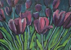 Purple Tulips